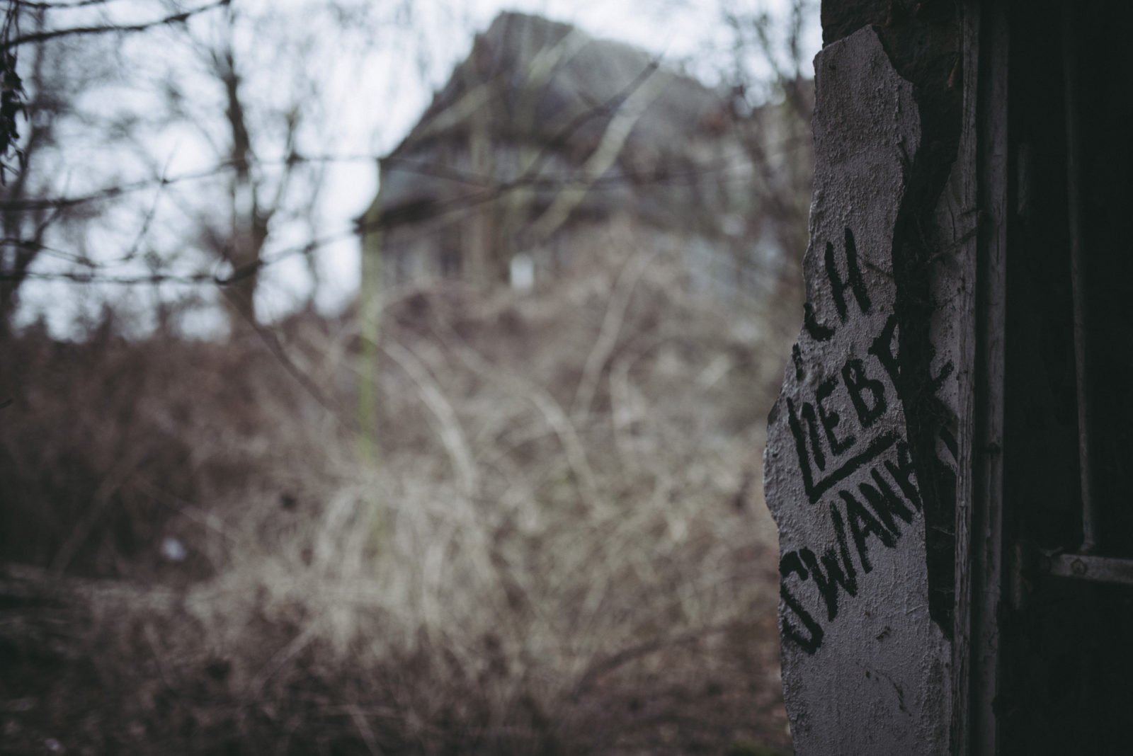 Z² – Zahn und Zieger unterwegs | Kinderkrankenhaus Weißensee | Berlin | Ruine vom Säuglings- und Kinderkrankenhaus | Foto: René Zieger | GROSS∆RTIG