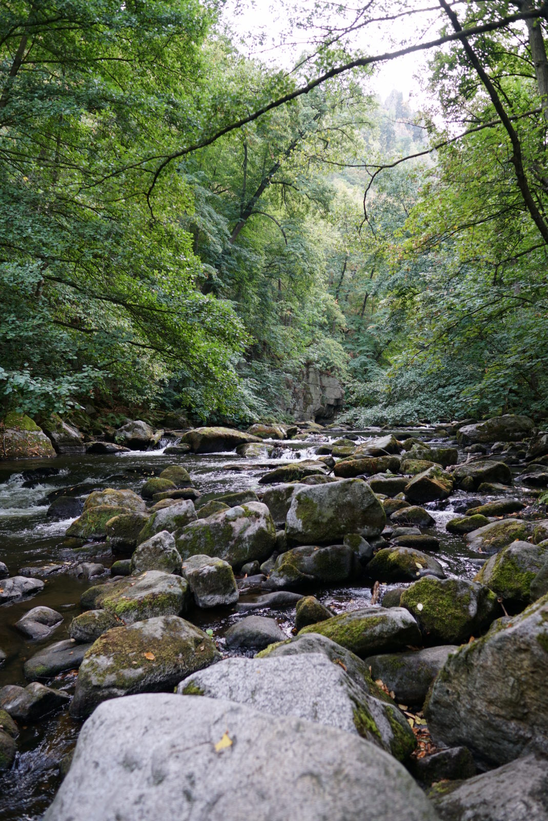 Hanno Groth wandert durch den Harz | Jetzt in unserer neuen Reihe "Abenteuer" | Foto: Hanno Groth | GROSS∆RTIG